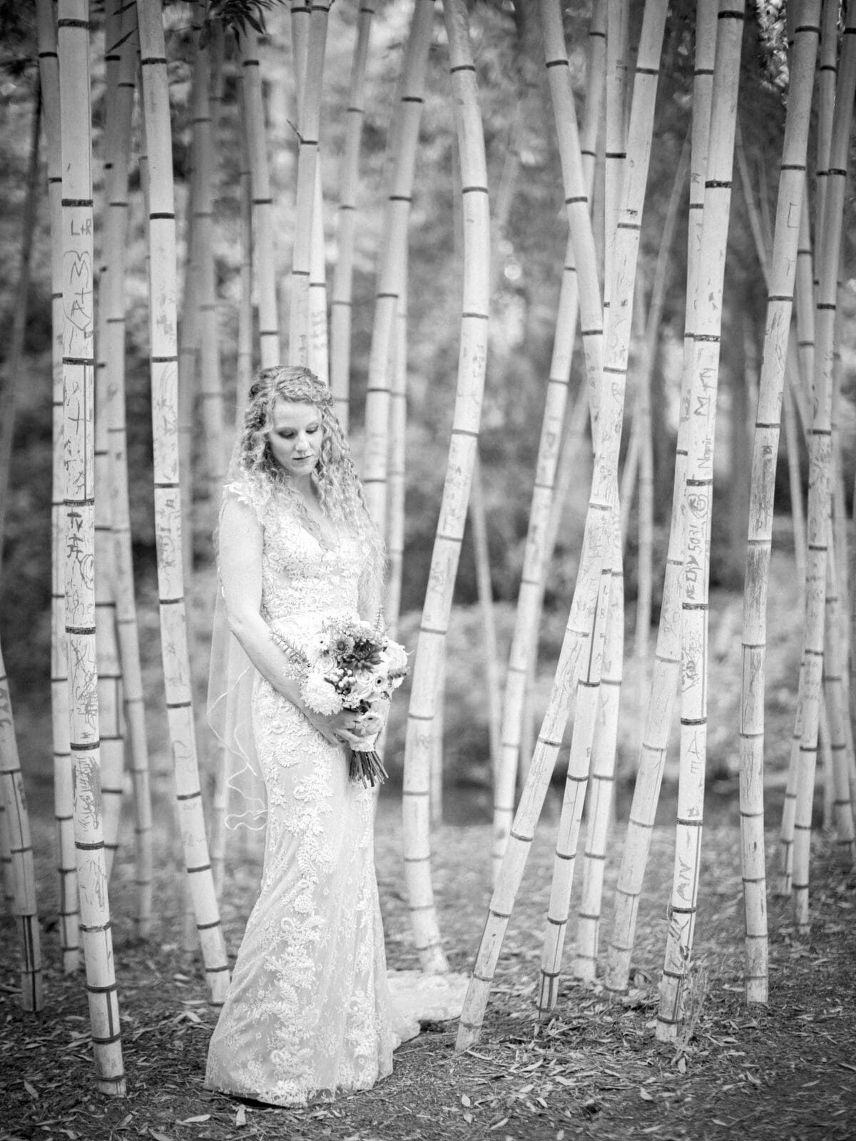 A bride in a lace wedding gown stands holding a bouquet among tall bamboo stalks in a serene outdoor setting. The image is in black and white, highlighting the intricate details of her dress and the texture of the bamboo.