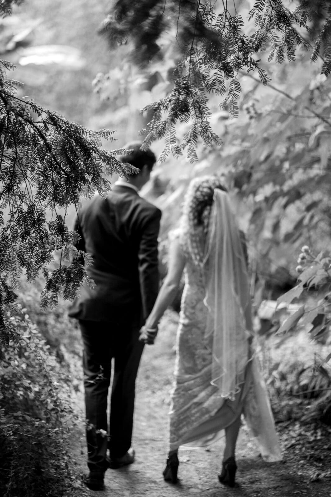 A black-and-white photo of a couple walking hand in hand down a forest path. The bride is wearing a long dress and veil, while the groom is in a suit. Overhanging branches frame the scene, creating a romantic atmosphere.