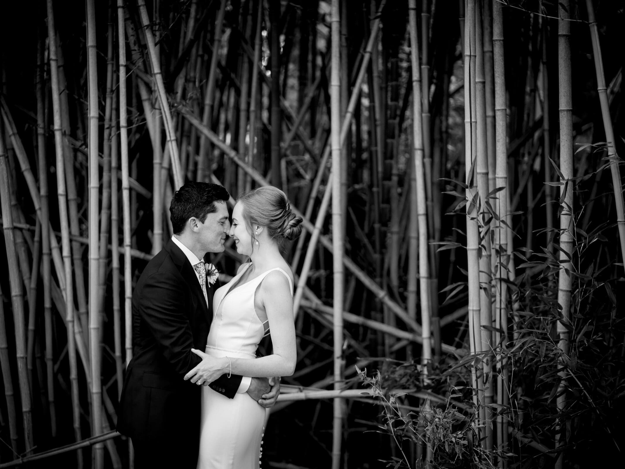 pinehurst wedding photography - lindsey & brendan A couple embraces in a bamboo forest. The groom wears a suit and leans towards the bride, who is in a white dress. The setting is serene and romantic, with tall bamboo stalks surrounding them.