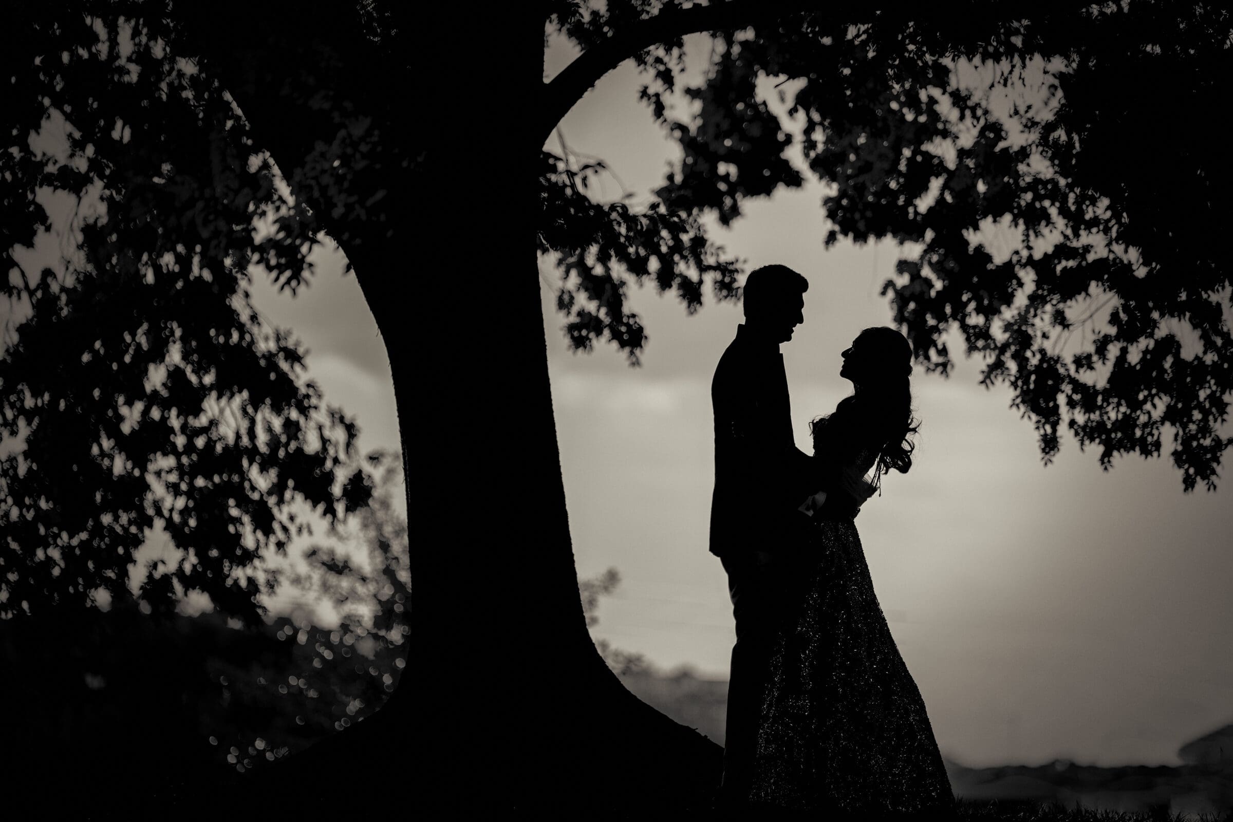 Silhouette of a couple standing under a large tree, with one person in a flowing dress. The background is a bright sky, creating a striking contrast.