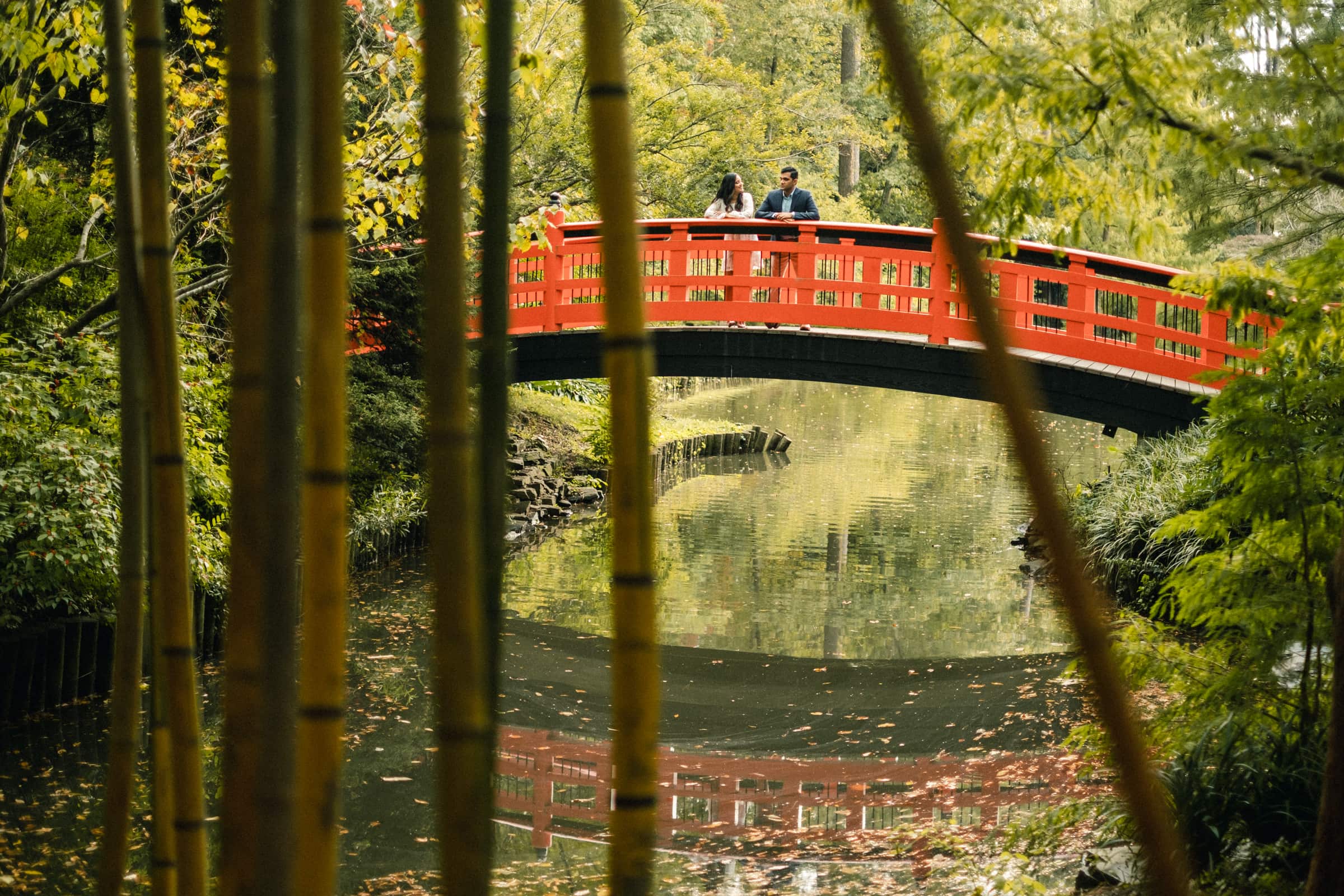 duke university engagement photos - shreena & kisan A red bridge spans over a tranquil pond in a lush garden setting. Tall bamboo stalks in the foreground frame the scene, while two individuals stand on the bridge, surrounded by verdant greenery and reflected in the water below.
