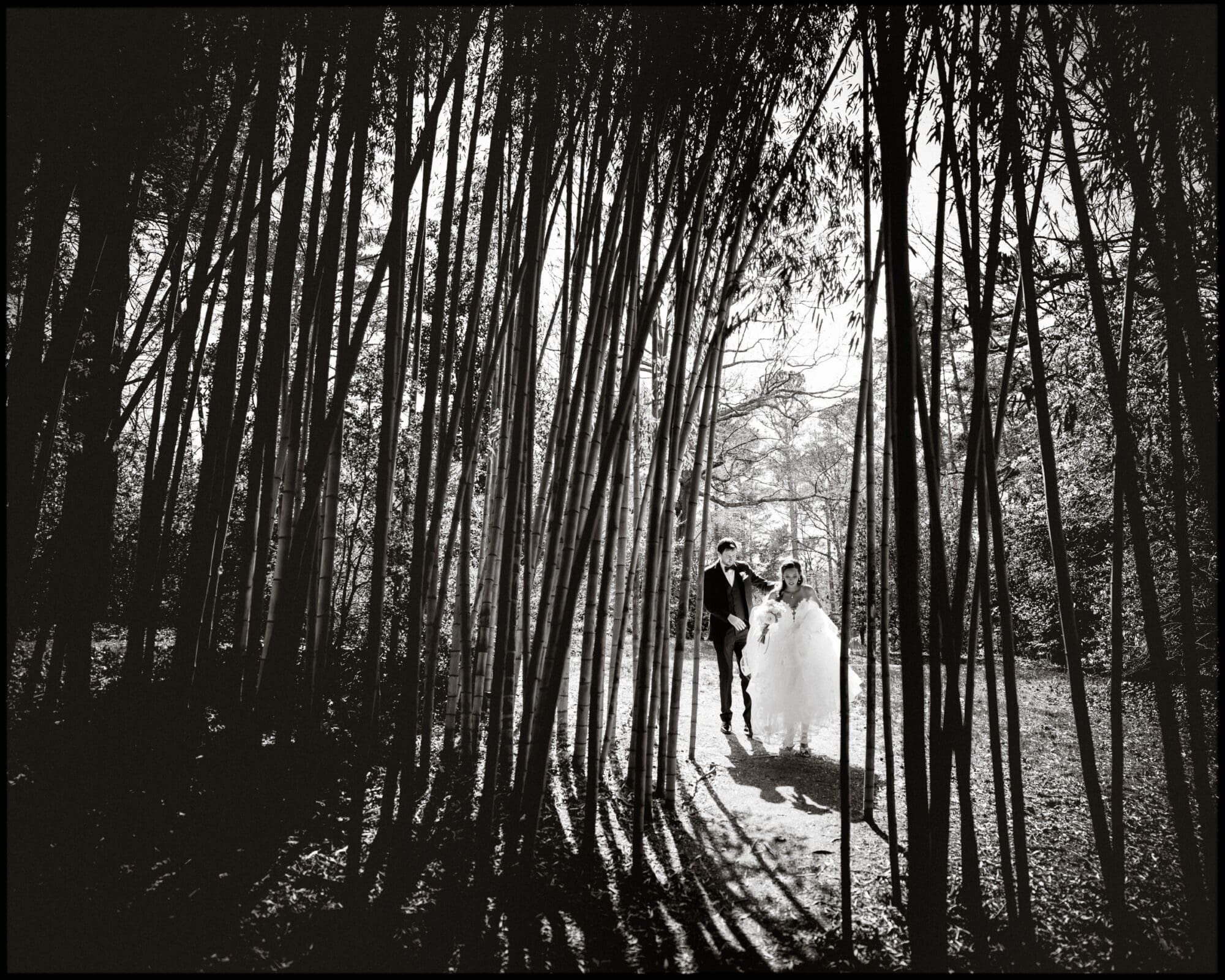 duke chapel & cookery wedding - sasha & ben A couple in wedding attire walks through a forest of tall, thin bamboo trees, reminiscent of the serene beauty surrounding Duke Chapel. The black and white image captures their silhouettes and the contrasting light casting gentle shadows on the ground.