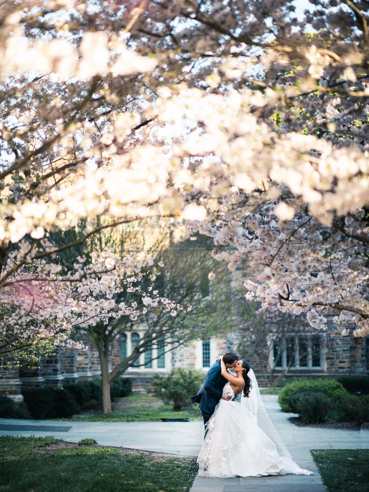 duke chapel & cookery wedding - sasha & ben A bride and groom embrace under the cherry blossoms near Duke Chapel. The scene is serene, with soft pink petals framing the couple. Sunlight filters through the branches, casting a warm glow on their intimate moment along the stone pathway.