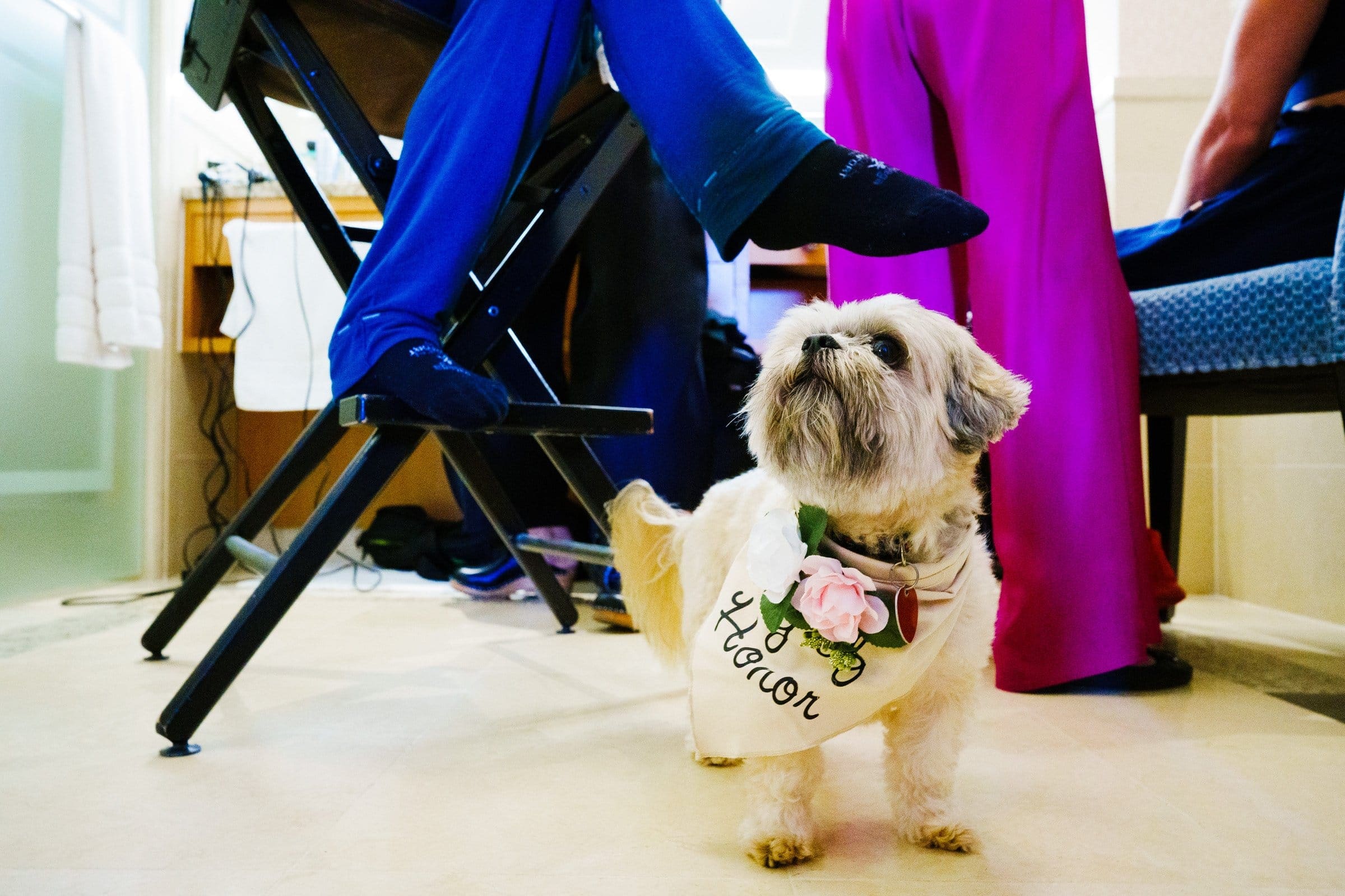 A small dog wearing a bandana with the word "Honor" and a pink flower stands on a tiled floor. The dog looks up at two people in bright blue and pink pants seated nearby, their legs visible, perhaps near the serene paths of Umstead.