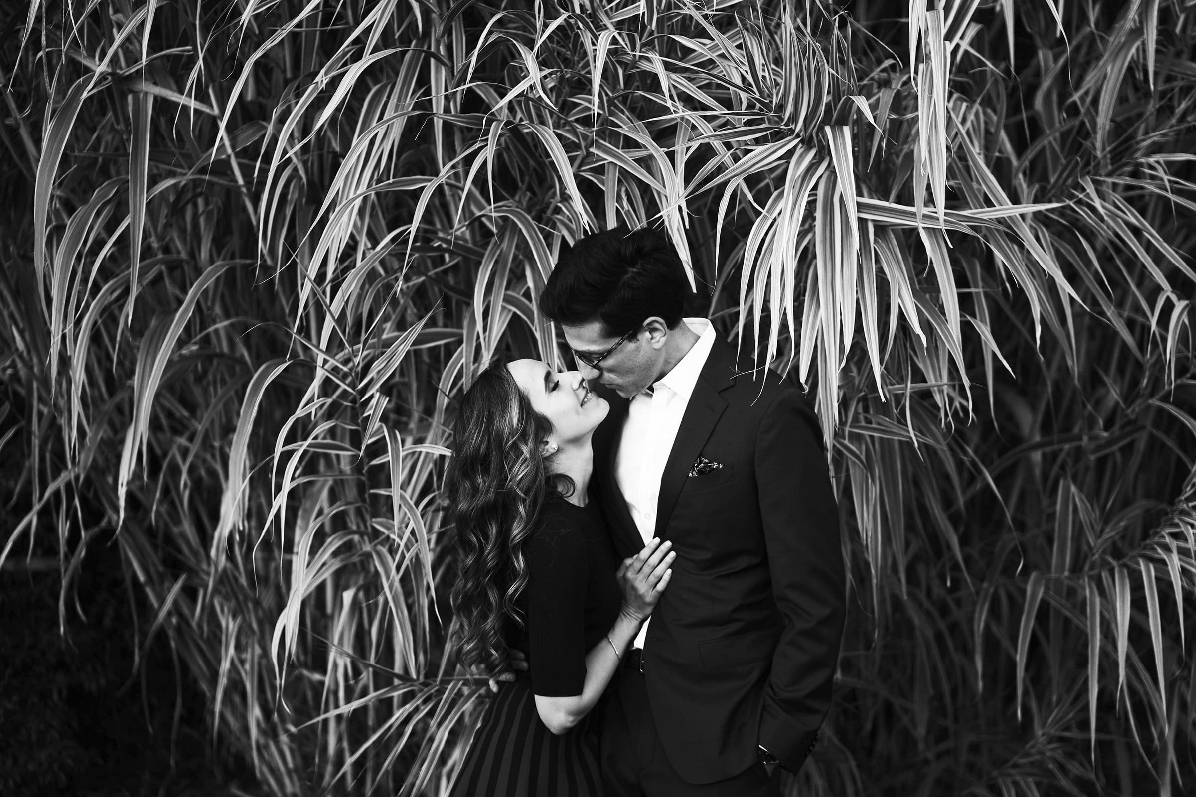 A black and white image captures a couple embracing in front of tall, dense grass at the Biltmore Estate. The woman, with long hair, looks up at the man wearing glasses and a suit, as they share a tender moment in this engagement photography session.