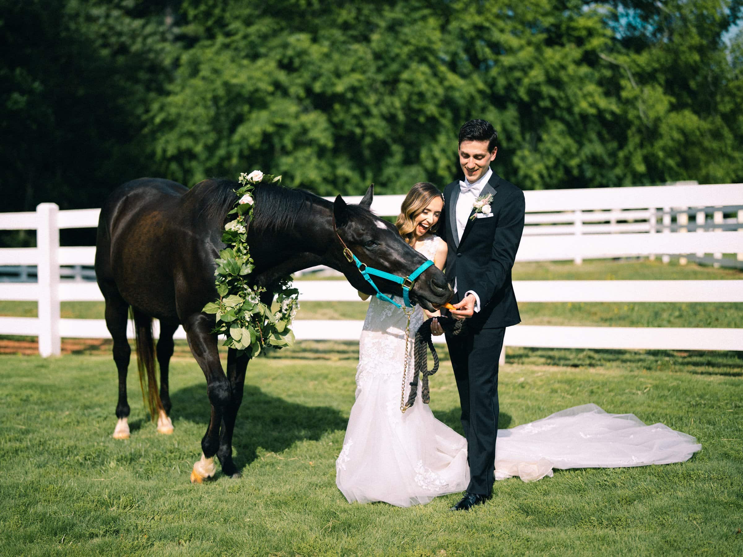 historic wakefield barn wedding photography - jennifer & stefan A bride and groom in formal attire are smiling beside a black horse adorned with a floral garland, captured beautifully in Wakefield barn wedding photography. They stand outdoors on a sunny day, surrounded by green grass and trees near a white fence.