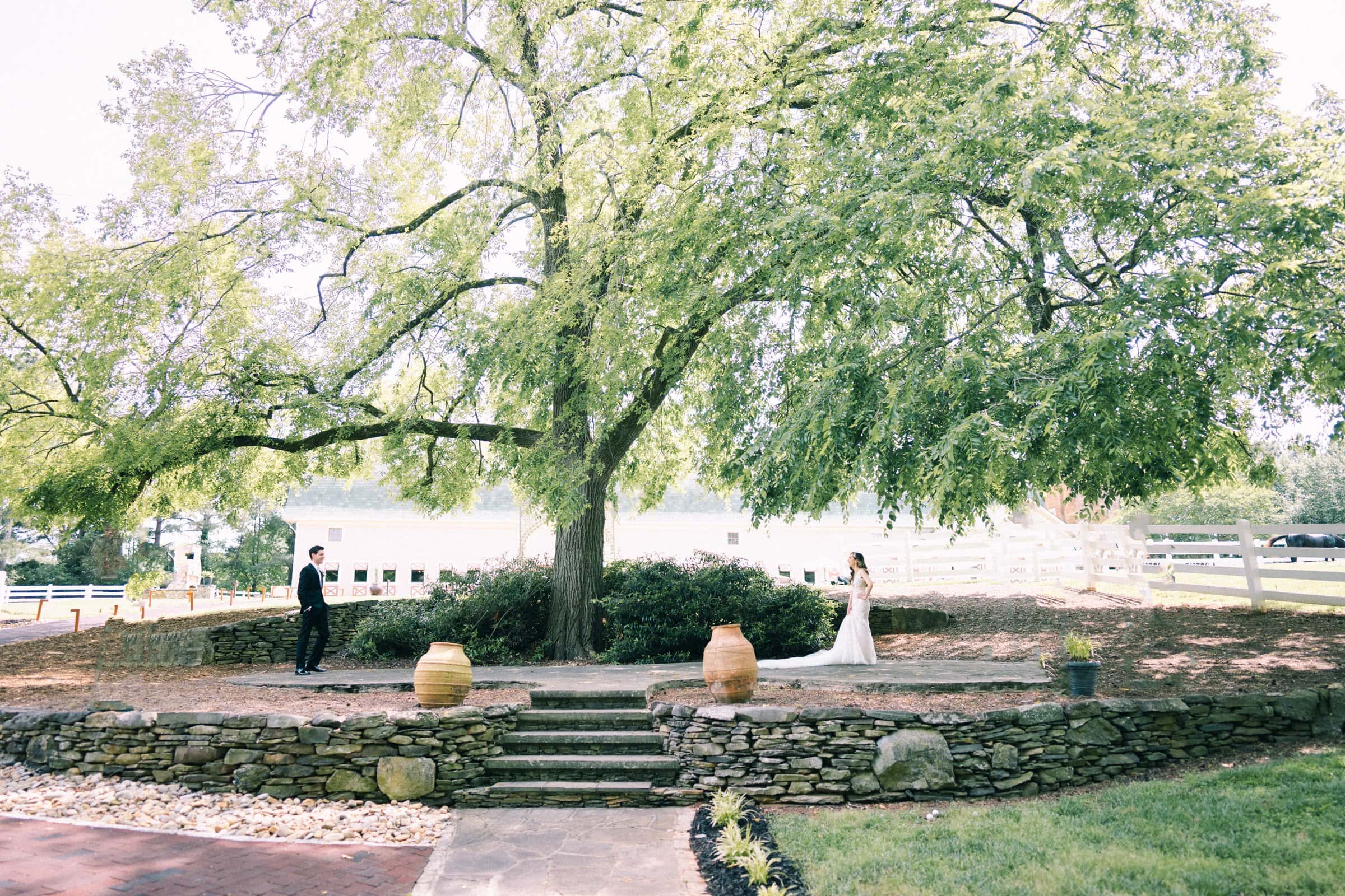 historic wakefield barn wedding photography - jennifer & stefan A bride and groom stand facing each other outdoors under a large, leafy tree at a Wakefield Barn wedding. The setting includes stone steps, large decorative jars, and wooden fences, capturing a serene and romantic atmosphere perfect for photography.