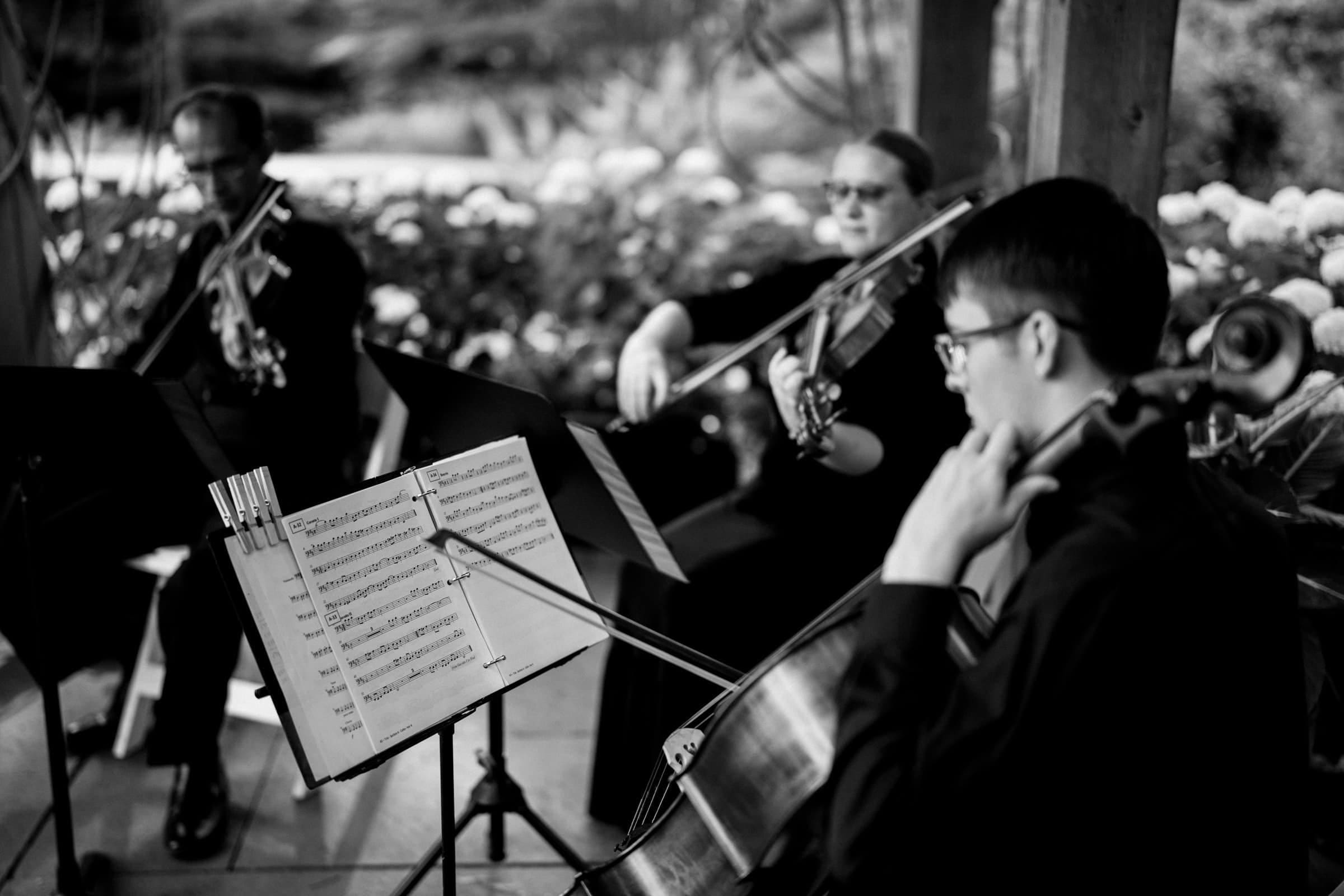 duke gardens wedding photography - ann & tim A black and white photo captures a string quartet performing outdoors, possibly at a Duke Gardens wedding. Three musicians, each with a violin, viola, and cello, focus intently on their sheet music. In the background, blurred greenery and flowers enhance the serene atmosphere.