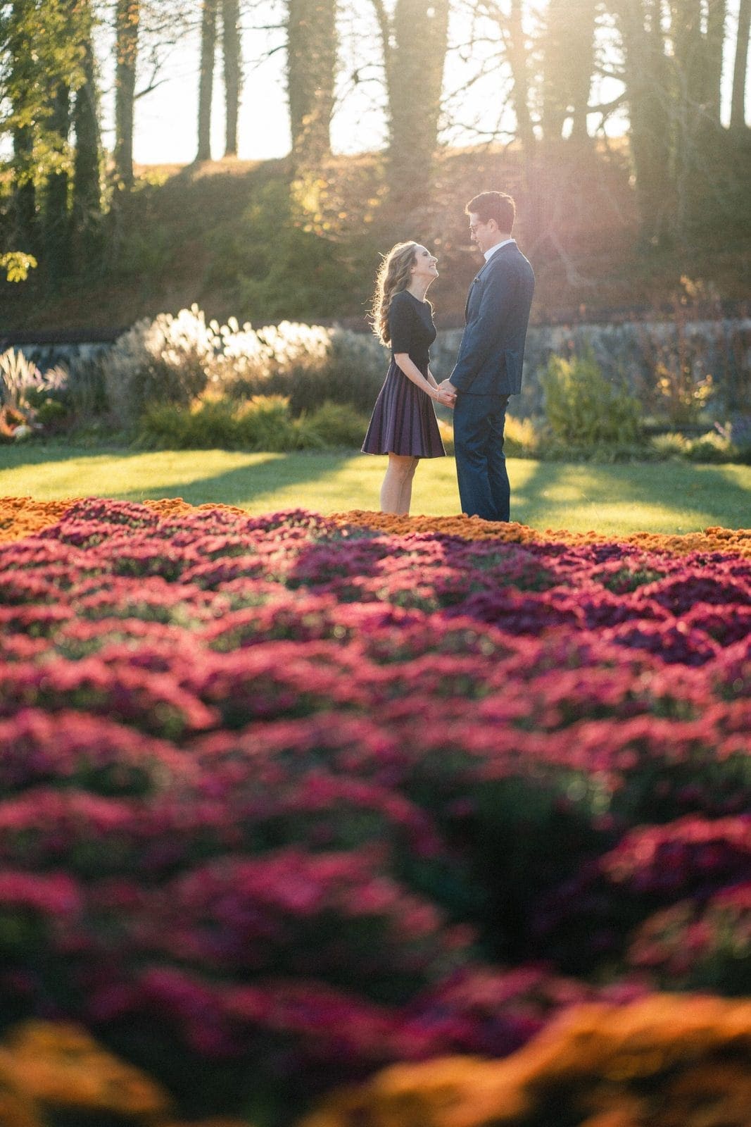 A couple stands holding hands in a garden at the Biltmore estate, surrounded by vibrant pink and purple flowers. They gaze at each other under the soft sunlight, perfect for engagement photography, as a row of trees forms the backdrop.
