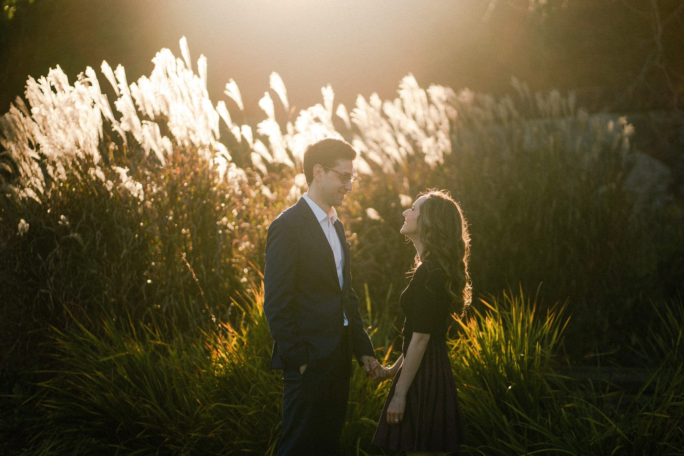 A couple stands facing each other in a sunlit garden at the Biltmore Estate, holding hands. Tall grasses and plants bask in the warm glow of the sun in the background. The man wears a suit, and the woman is dressed elegantly in a skirt and top, capturing a perfect engagement photography moment.