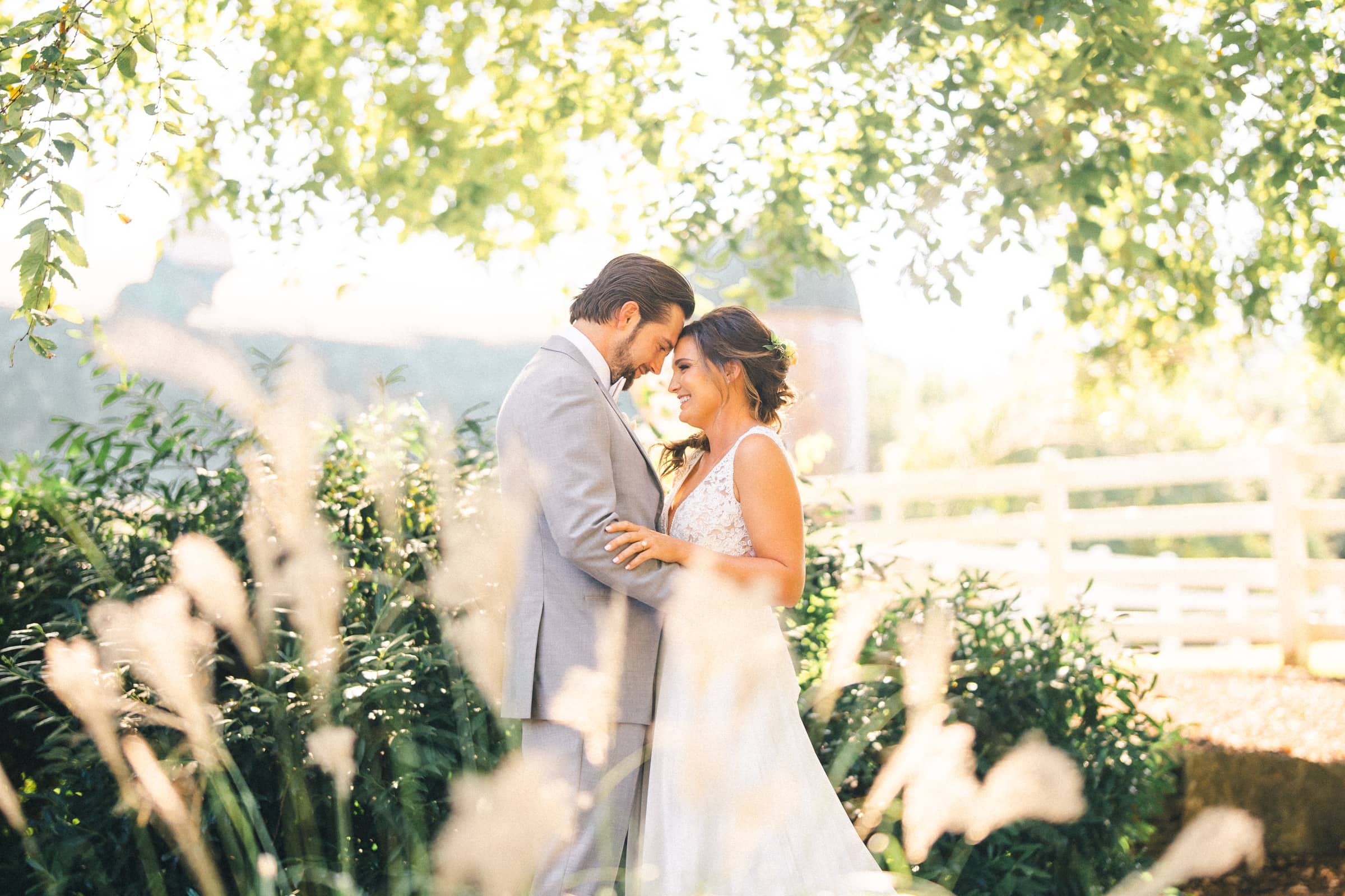 A bride and groom stand closely together under a sunlit tree at their Wakefield Barn wedding, surrounded by lush greenery and tall grasses. The groom wears a light gray suit, while the bride is in a white dress. They appear happy and serene in this picturesque outdoor setting.