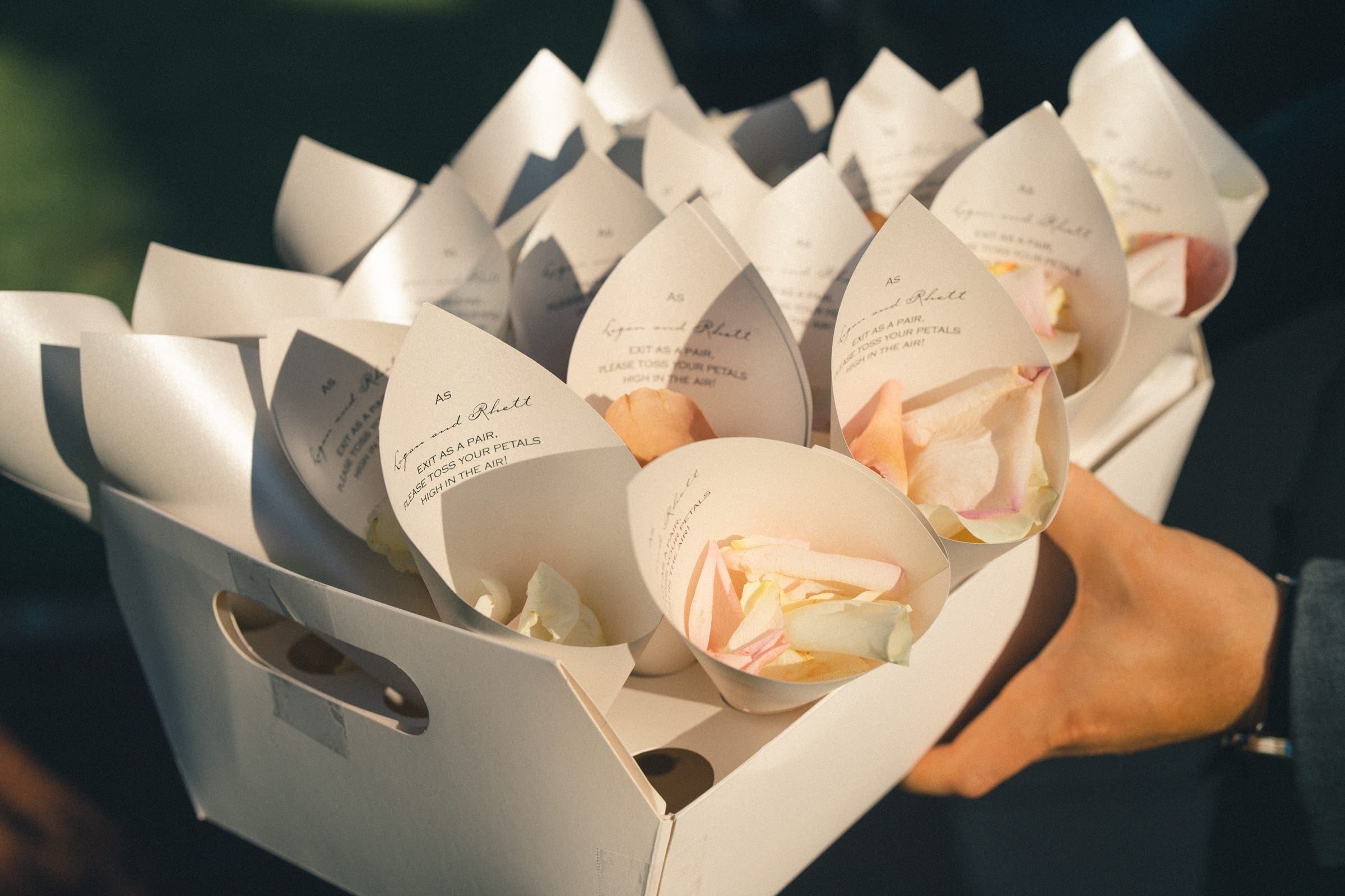 historic wakefield barn wedding - logan & rhett At a charming Wakefield Barn wedding, a person holds a white cardboard tray filled with cone-shaped paper holders containing pastel-colored flower petals. The petals appear delicate, and the scene is bathed in soft, natural light.