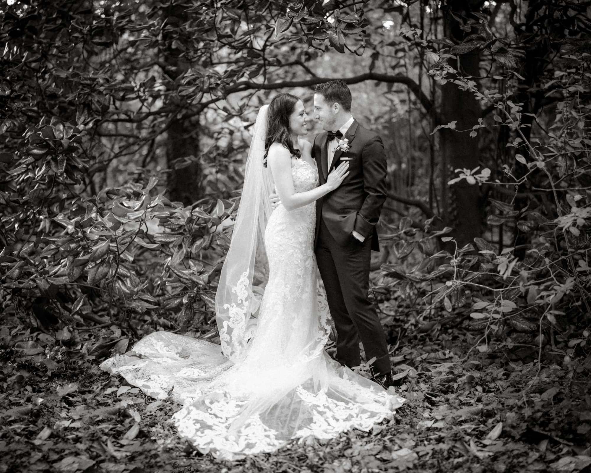 A bride in a lace gown and a groom in a suit stand close, smiling at each other beneath the canopy of Duke Gardens. The bride wears a long veil that flows onto the leaves, adding to the romantic, nature-filled setting.
