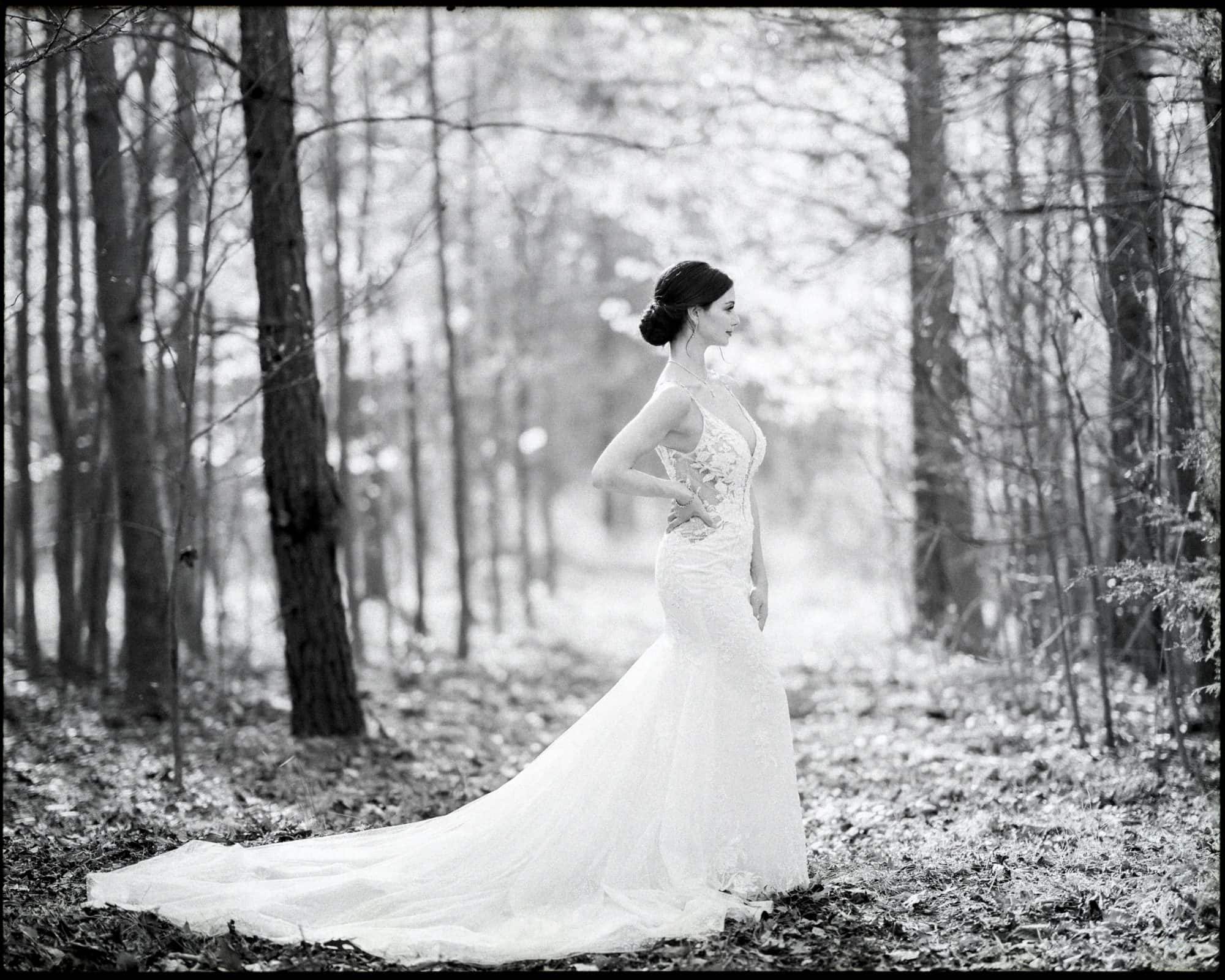 A bride in a lace wedding gown stands in a forest, looking to the side. The black and white image captures the serene atmosphere of an elopement among tall trees and scattered leaves on the ground. Her gown features a long, flowing train that sweeps gracefully through the meadows.
