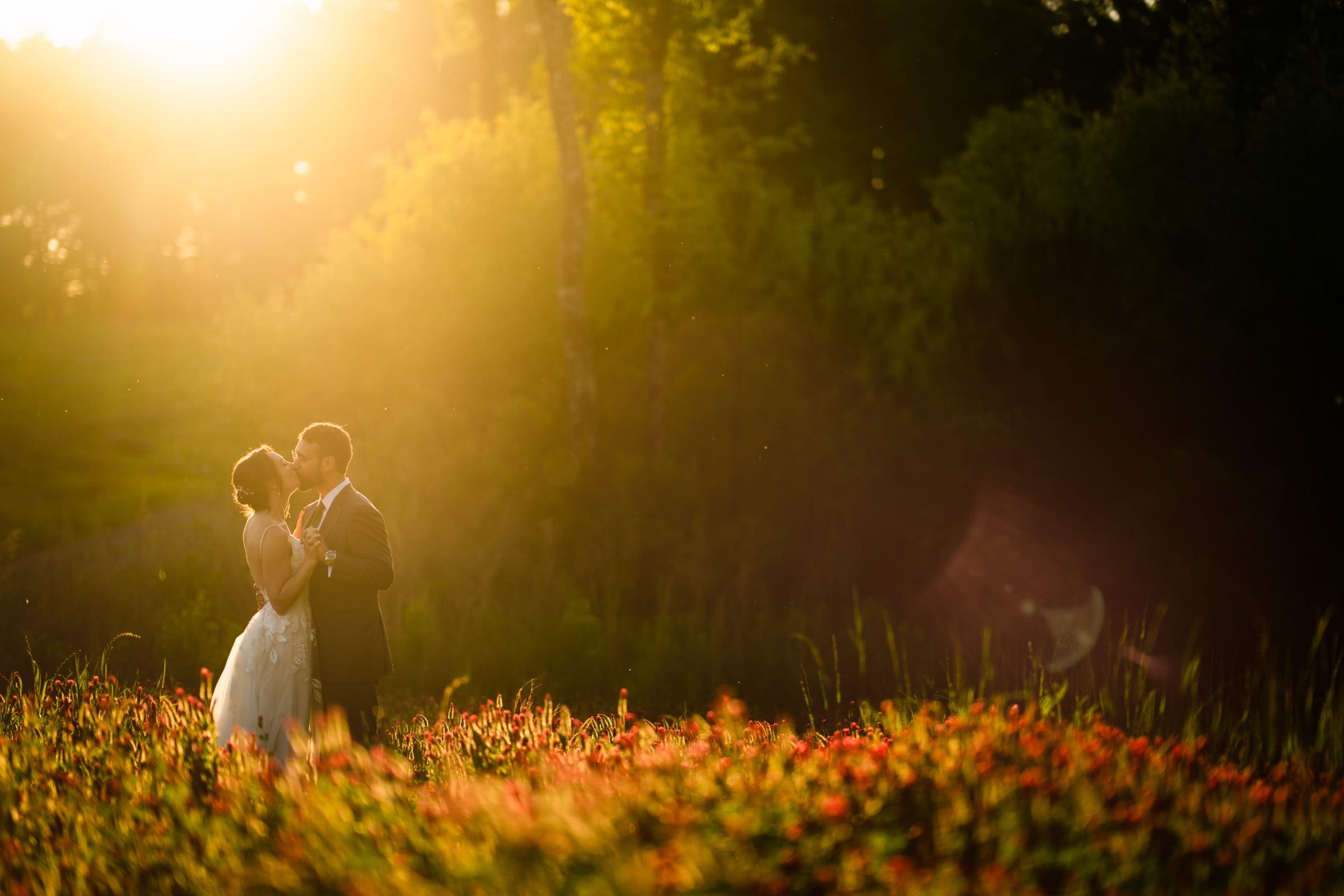 union grove farm wedding photography - kaylyn & jeremy A couple embraces in a sunlit field at Union Grove Farm, surrounded by wildflowers and tall grass. The soft glow of the sunset creates a warm, romantic atmosphere perfect for wedding photography, with trees and shadows in the background.