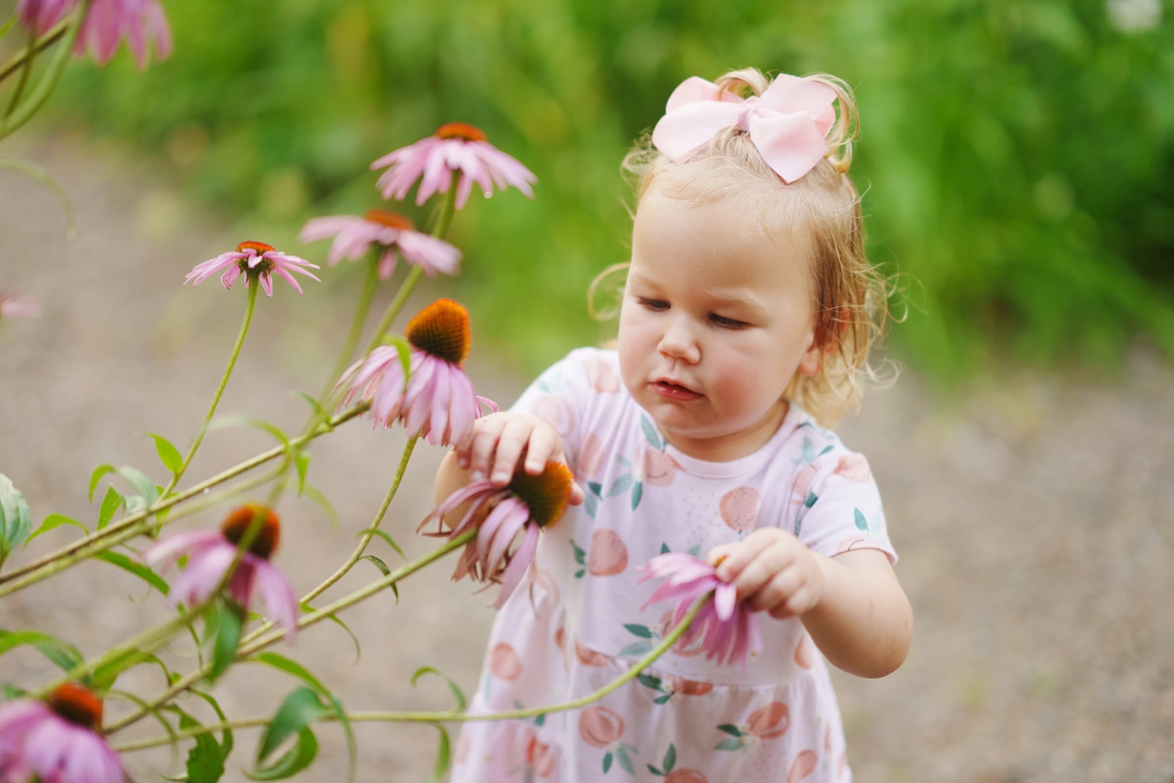 A young girl with a pink bow and a dress adorned with fruit patterns is gently touching pink coneflowers in a garden, capturing the essence of family photography. Her curious, focused expression is set against lush greenery in the background.