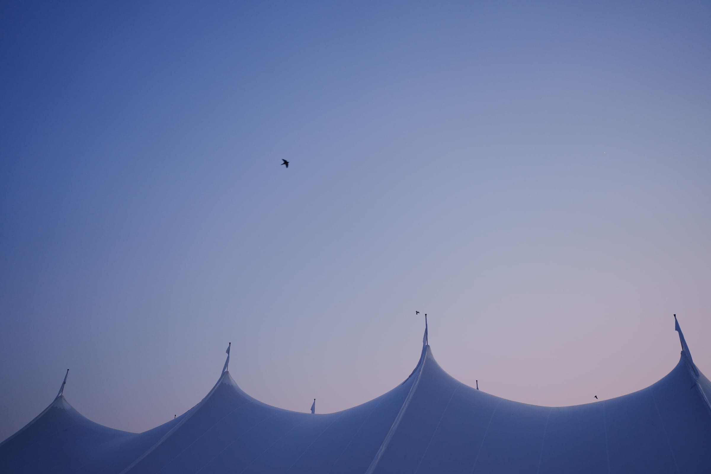 dunn wedding photography - reaves & zach A clear sky at dusk with a bird soaring overhead sets the perfect backdrop for Dunn wedding photography. The silhouette of a white tent with multiple peaks adds an elegant touch at the bottom of the image.