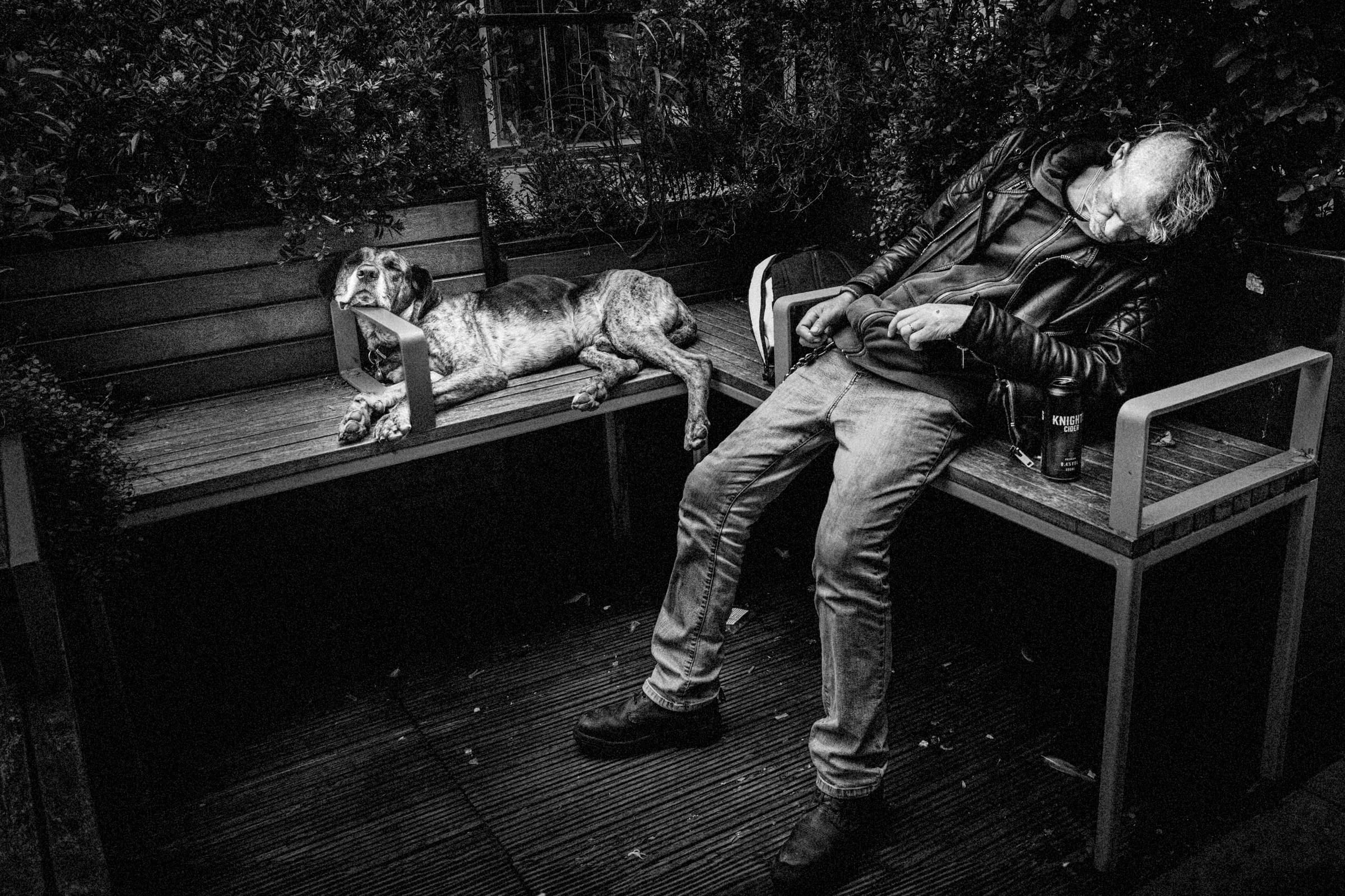 A black and white photo captured with remarkable photography skillset shows a man asleep on a bench, leaning back with crossed legs in a leather jacket and jeans. Beside him, a dog rests on another bench, while a drink can lies near his hand.