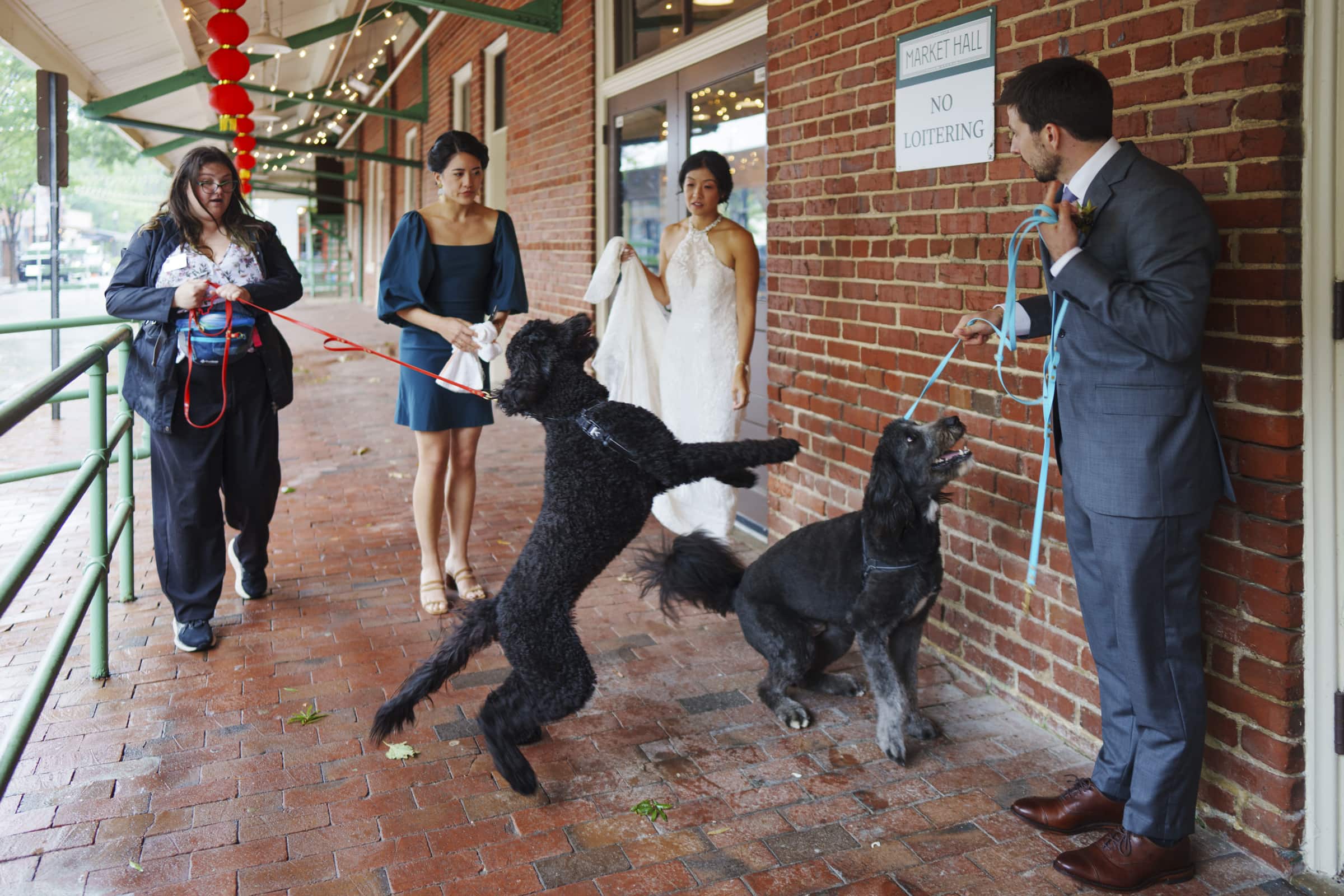 Two people in formal attire hold leashes as two black dogs playfully interact in front of a brick wall. Two women, one in a wedding dress, watch and smile at the charming scene outside the market hall. A No Loitering sign is visible on the wall.