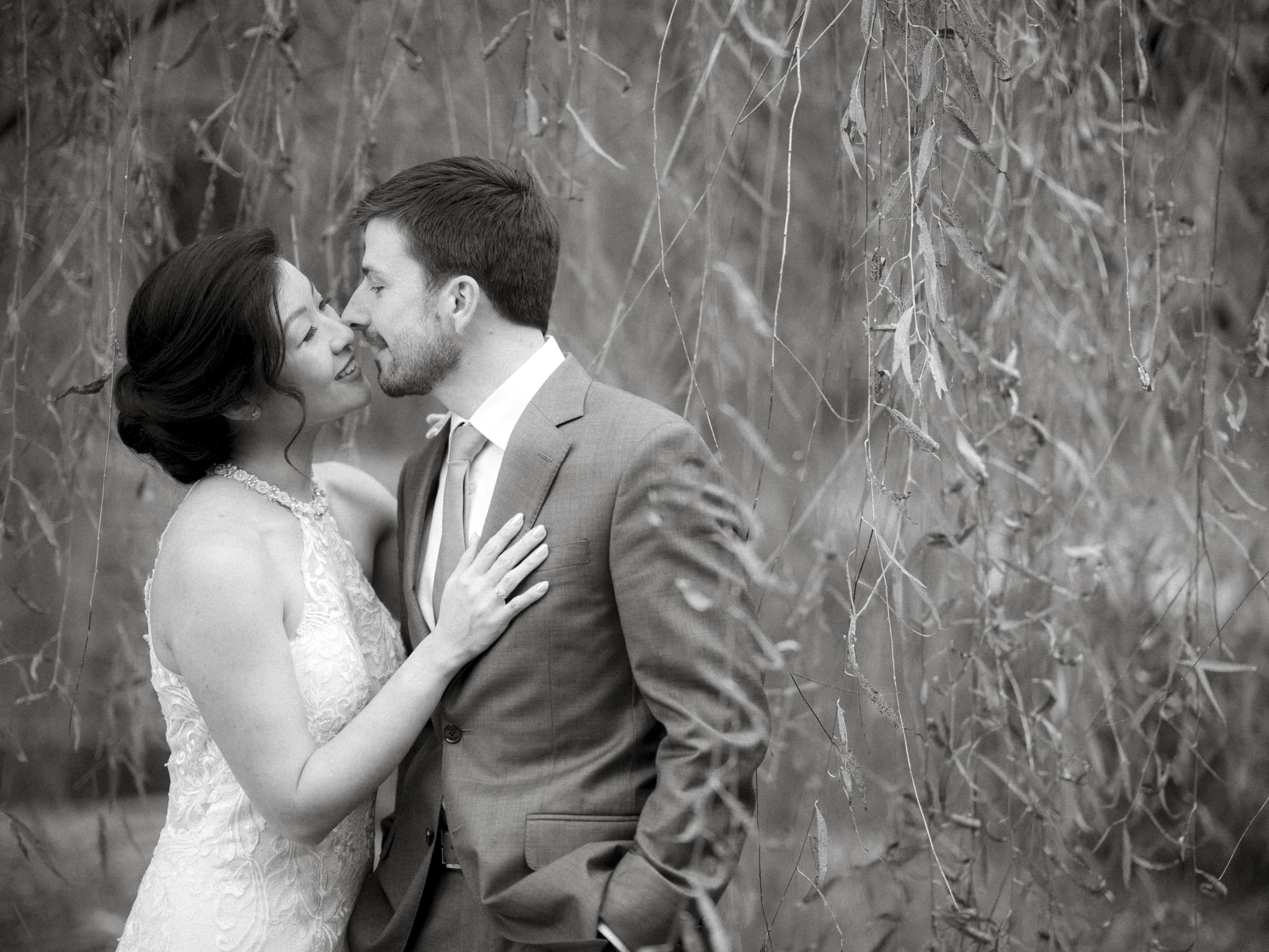 A couple shares an intimate moment amidst delicate, hanging branches during their market hall wedding. The woman, in an elegant lace dress, gently touches the man's chest as he leans in. The background is softly blurred, creating a dreamy atmosphere. The image is in black and white.