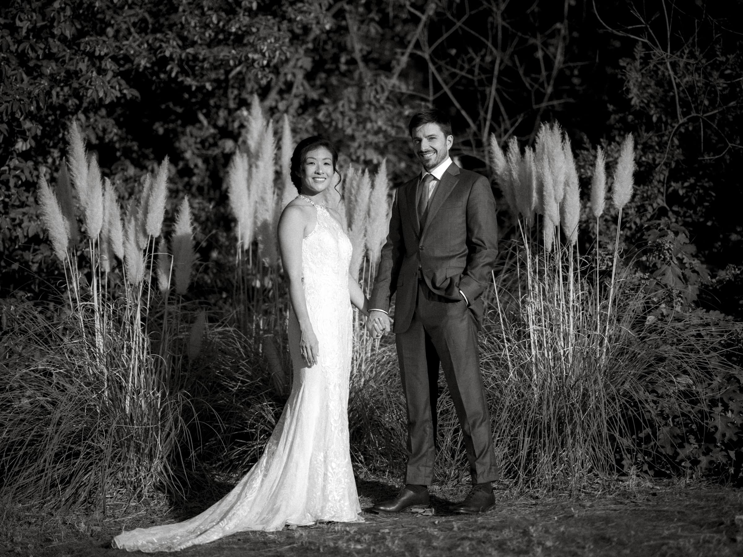 A bride in a lace gown and a groom in a suit stand smiling and holding hands outdoors, reminiscent of a charming market hall wedding. They are surrounded by tall grasses, set against a backdrop of trees.