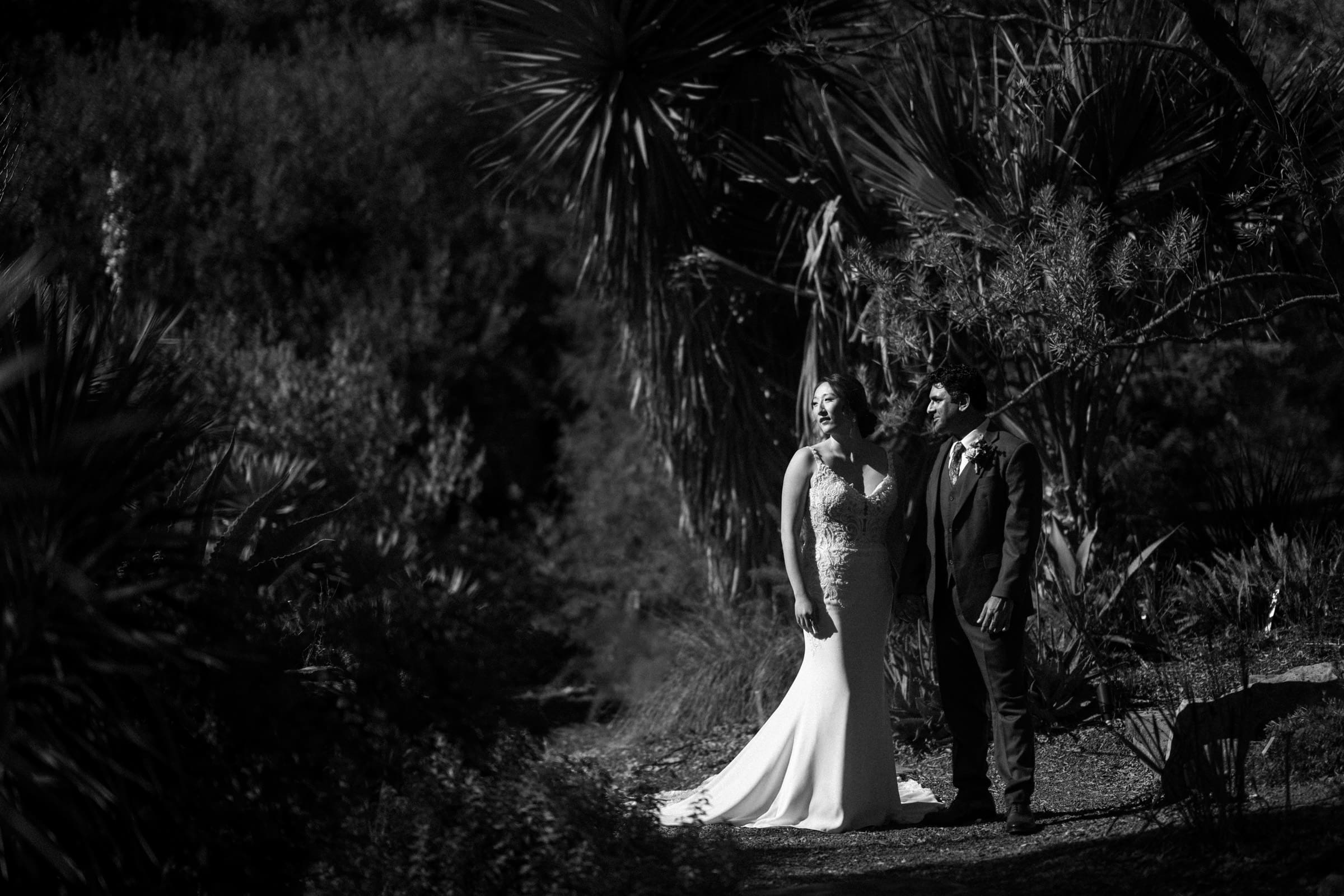 A black and white photo captures Holly & Sut on their wedding day at the JC Raulston Arboretum. The bride's long, flowing gown and the groom's suit stand out among the lush foliage, with sunlight filtering through tall trees and shrubs, creating a timeless scene.