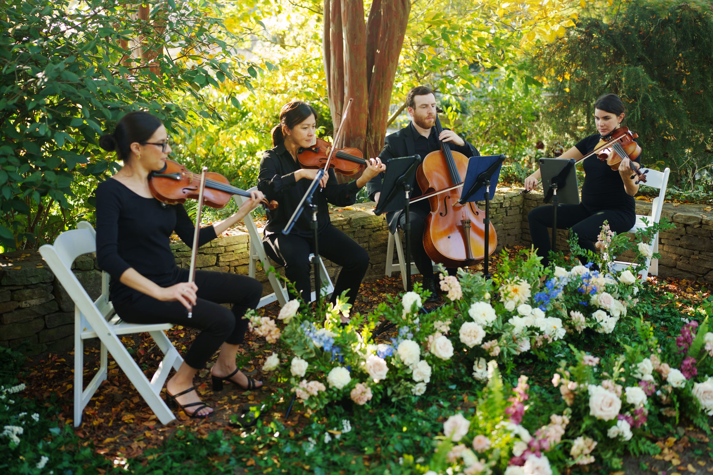 At Holly & Sut's JC Raulston Arboretum wedding, a string quartet performs outdoors, enveloped by lush greenery and colorful flowers. The musicians, in elegant black attire, play violins, a viola, and a cello while seated in a semicircle on white chairs.