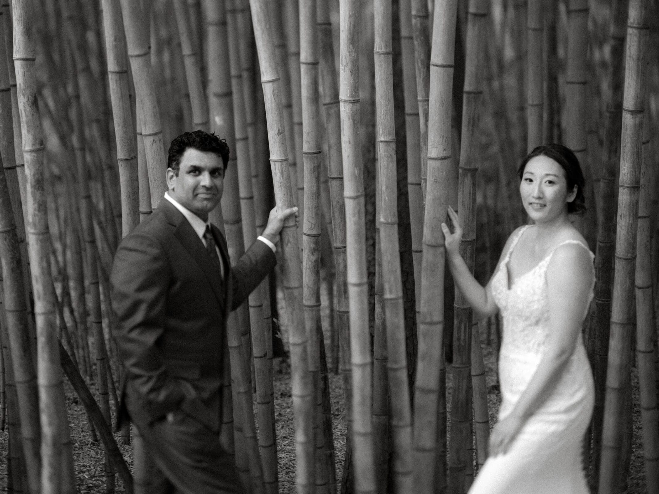 Holly and Sut stand amidst tall bamboo stalks at JC Raulston Arboretum. The woman wears a white wedding dress, and the man dons a suit. Both gaze at the camera, surrounded by the serene, natural setting in this timeless black-and-white capture.