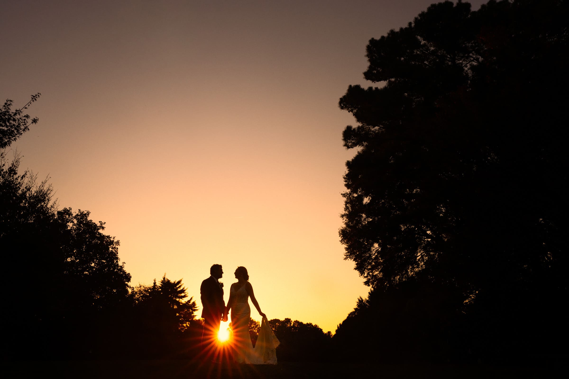 Silhouetted couple, Holly & Sut, holds hands against a sunset backdrop at JC Raulston Arboretum, surrounded by trees. Warm golden light from the setting sun enhances the romantic atmosphere.
