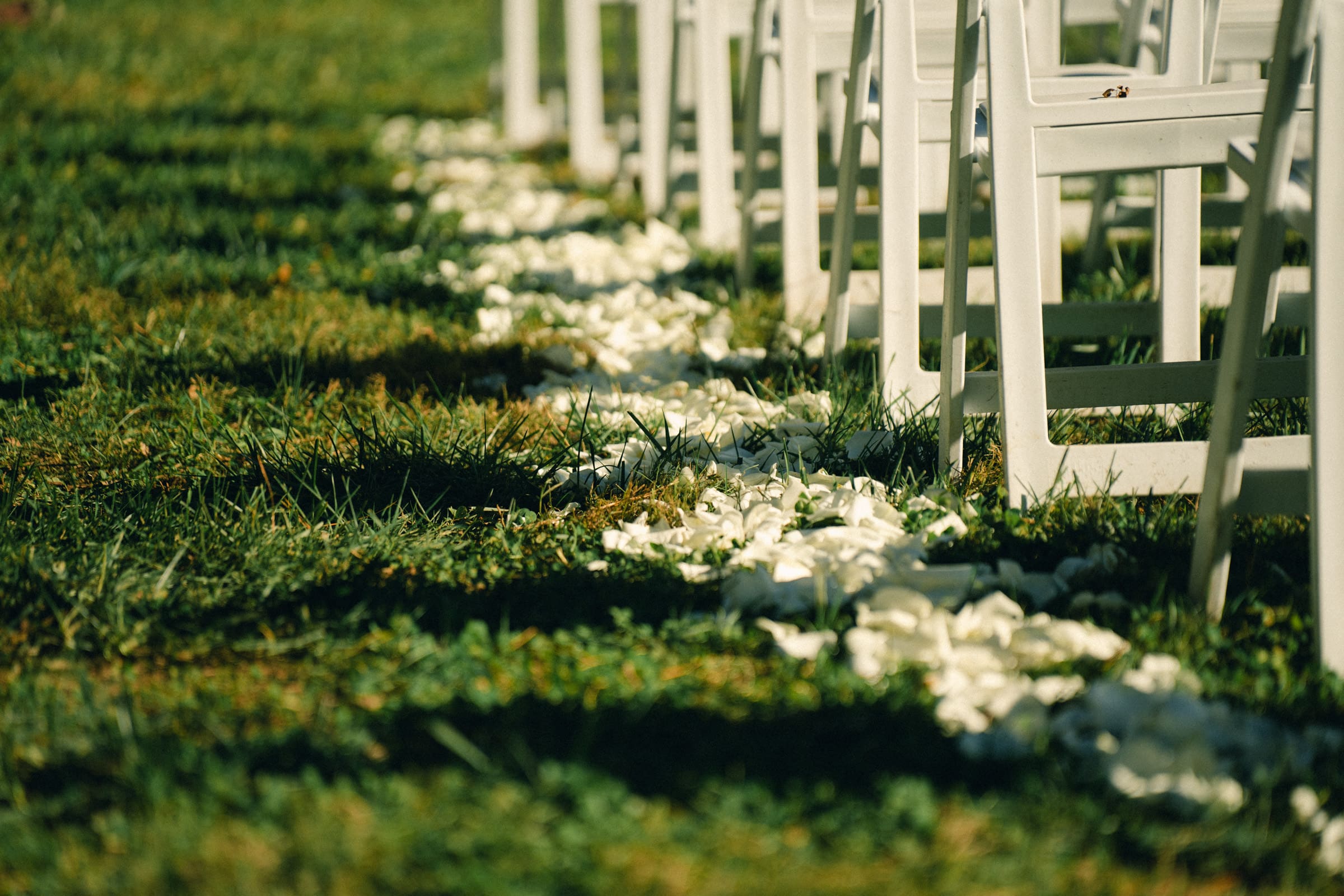 A grassy outdoor aisle at Rose Hill Estate, lined with scattered white rose petals, winds between rows of white folding chairs, perfectly suggesting a wedding or event setup under sunny lighting.