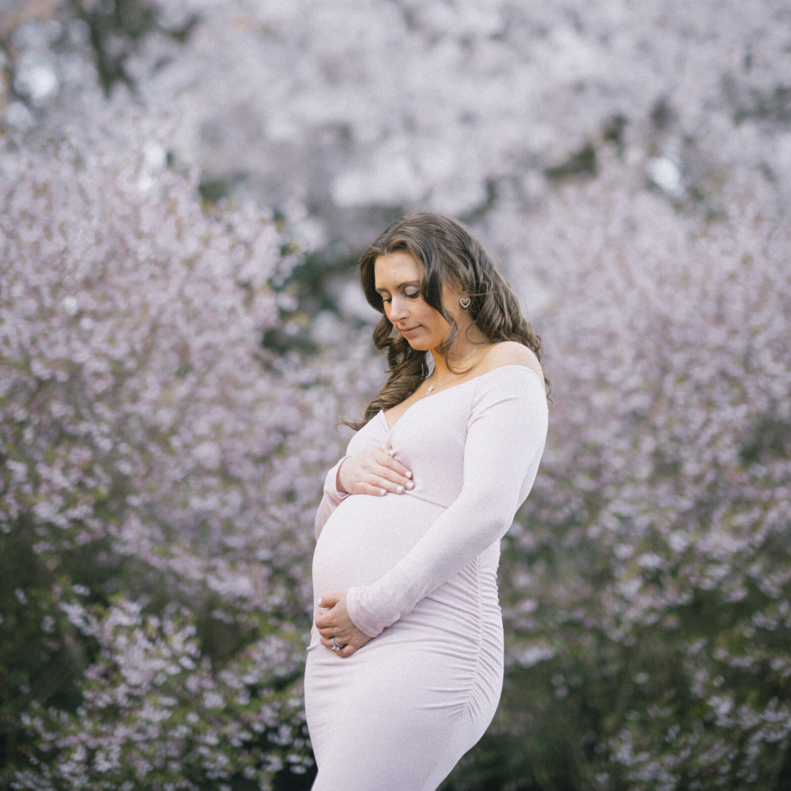 cherry blossom maternity session at duke gardens