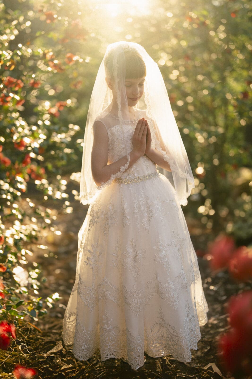 In a sunlit garden filled with roses, a young girl in a white lace dress and veil epitomizes the beauty of first holy communion portrait photography. Her hands are gently clasped, and the sunlight casts a warm glow around her.