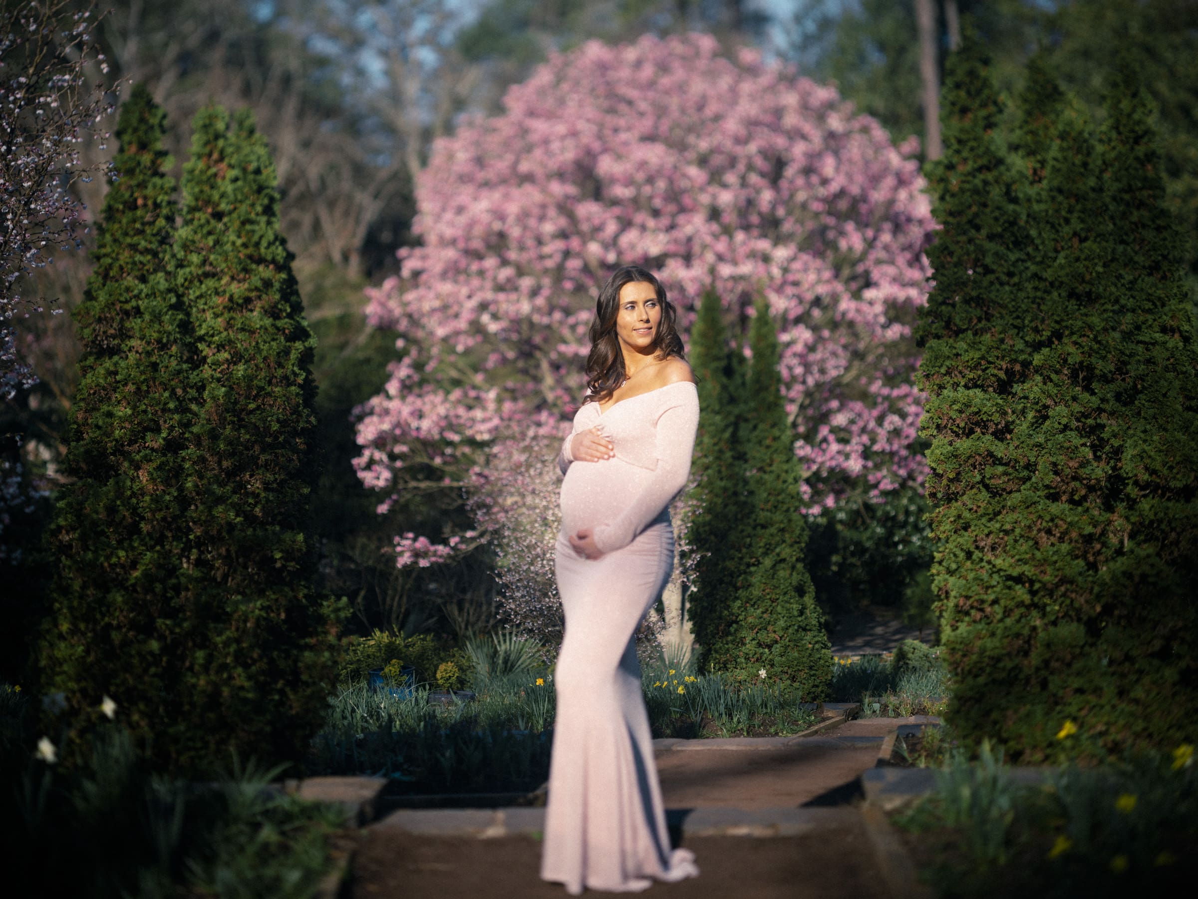 A pregnant woman in a pink dress stands gracefully on a garden path, surrounded by tall green shrubs and a blooming cherry blossom tree in the background, capturing the essence of a serene maternity session under a clear sky.
