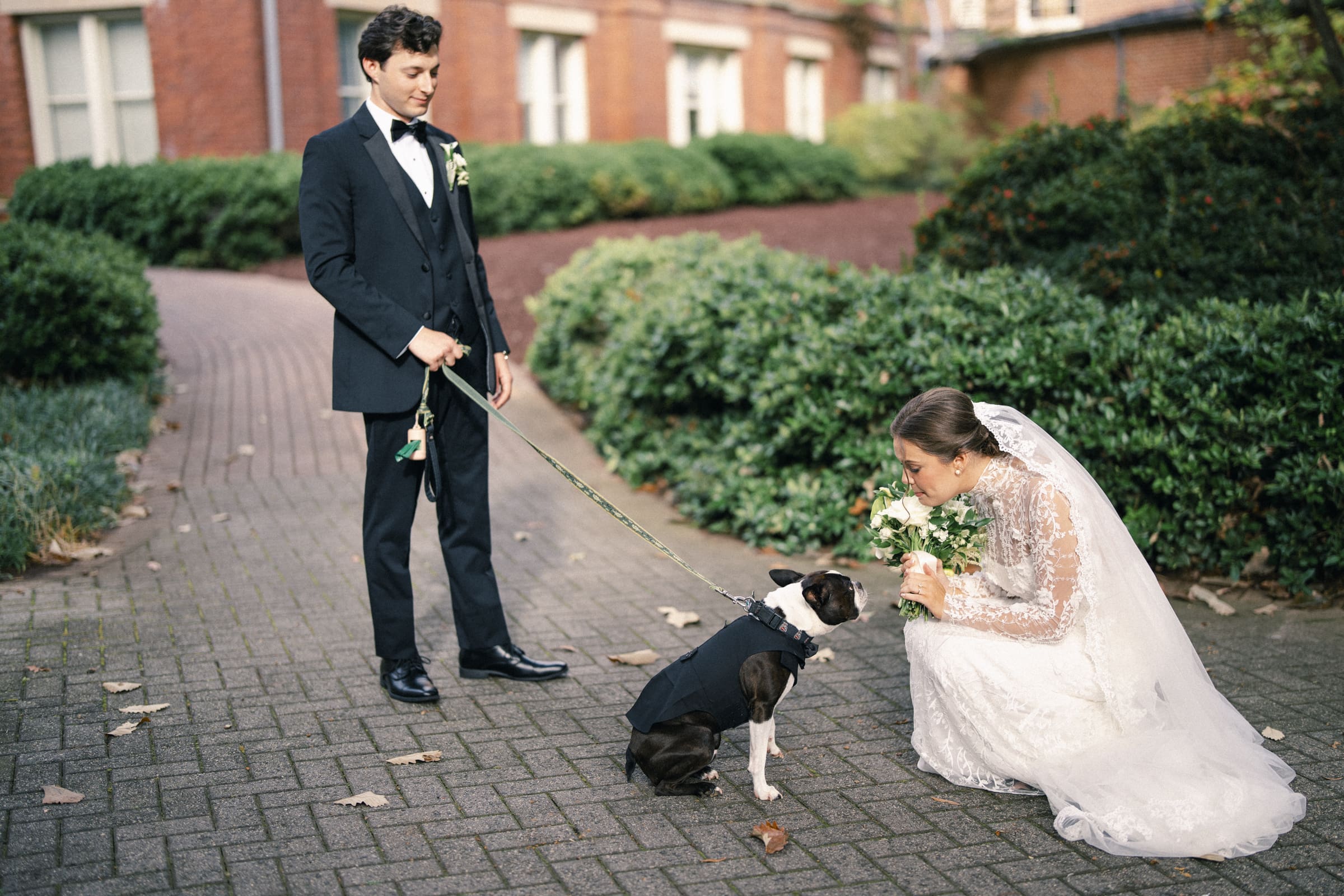 A bride in a white gown kneels to show her bouquet to a small dog in a tuxedo, while a groom in a dark suit holds the dogs leash on a brick path surrounded by greenery.