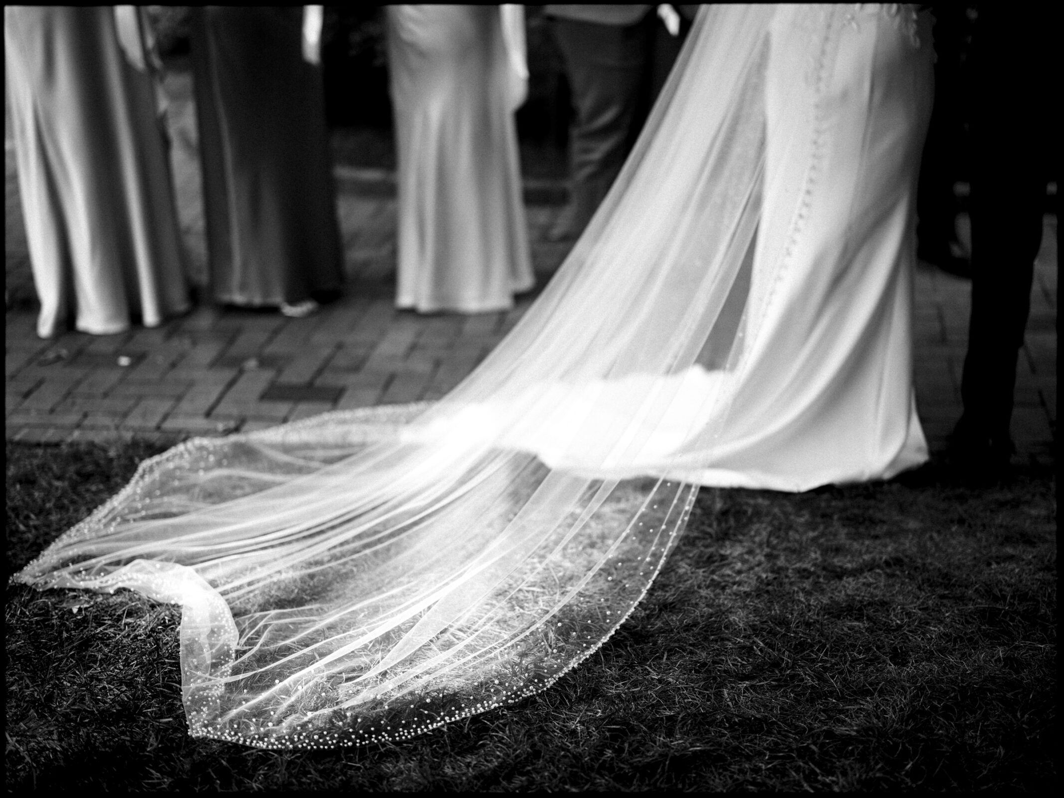 A long, elegant wedding veil trails behind a bride in a white gown, with several people in formal attire standing nearby on a brick path during an Elegant Spring Wedding at the Carolina Inn. By award-winning Raleigh wedding photographer, Joe Payne.
