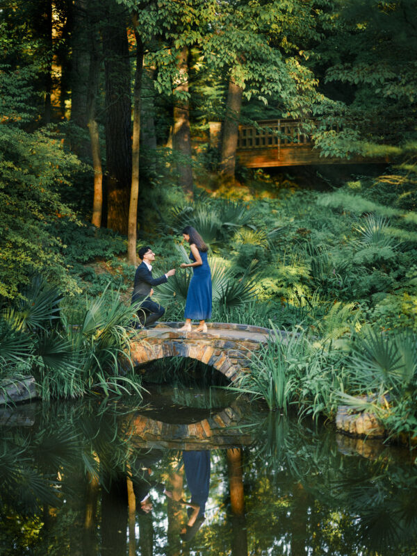 A man in a suit kneels on a stone bridge at Duke Gardens to propose to a woman in a blue dress, surrounded by lush greenery and a reflecting pond. By award-winning Raleigh wedding photographer, Joe Payne.